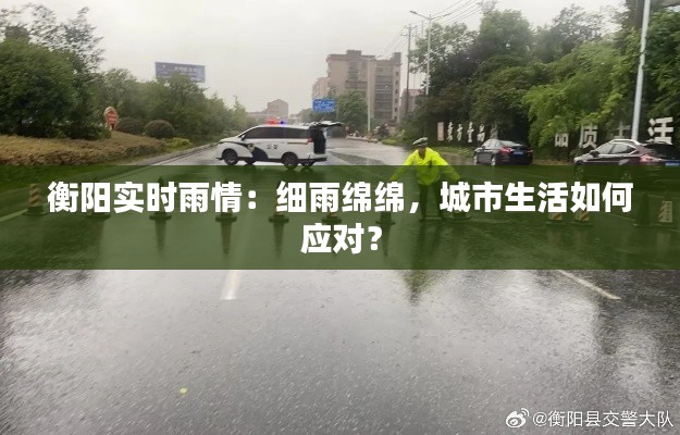 衡阳实时雨情：细雨绵绵，城市生活如何应对？