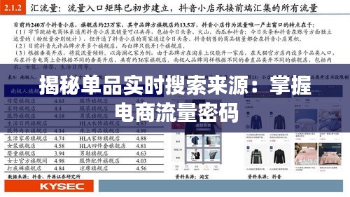 揭秘单品实时搜索来源：掌握电商流量密码