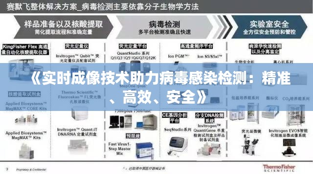 《实时成像技术助力病毒感染检测：精准、高效、安全》