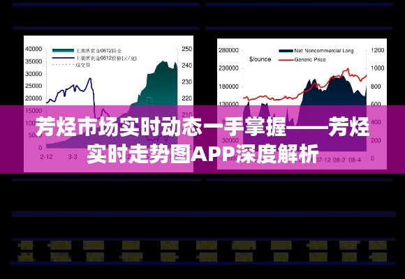 芳烃市场实时动态一手掌握——芳烃实时走势图APP深度解析