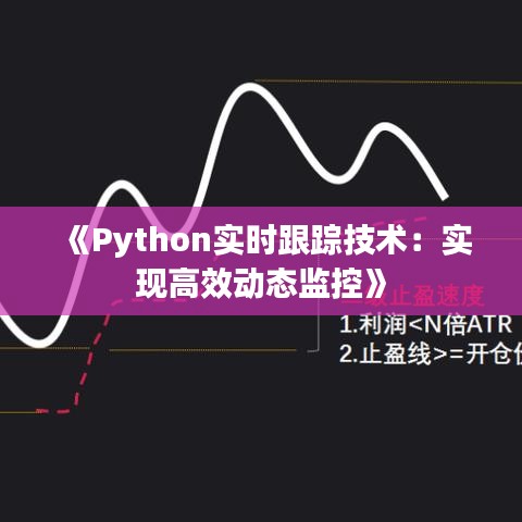 《Python实时跟踪技术：实现高效动态监控》