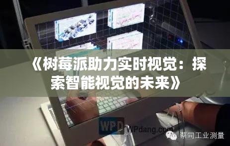 《树莓派助力实时视觉：探索智能视觉的未来》