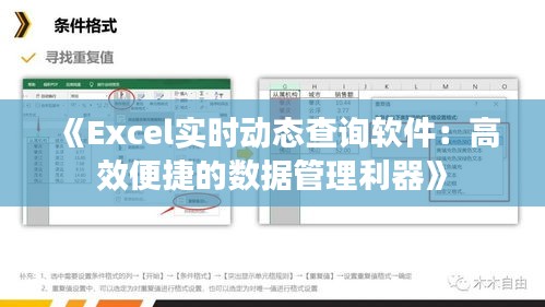 《Excel实时动态查询软件：高效便捷的数据管理利器》