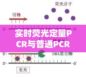 公司动态 第238页