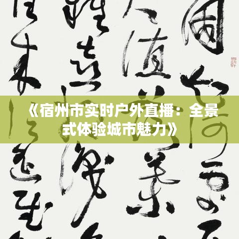 《宿州市实时户外直播：全景式体验城市魅力》