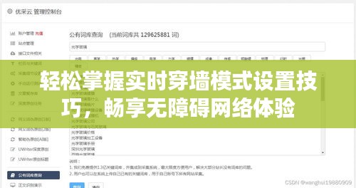 轻松掌握实时穿墙模式设置技巧，畅享无障碍网络体验