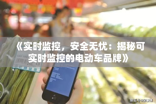 《实时监控，安全无忧：揭秘可实时监控的电动车品牌》