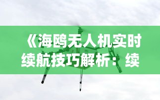 《海鸥无人机实时续航技巧解析：续航无忧，航拍更畅快》