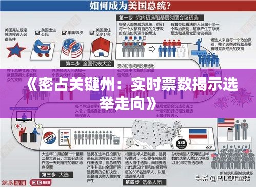 《密占关键州：实时票数揭示选举走向》