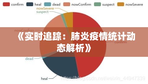 《实时追踪：肺炎疫情统计动态解析》