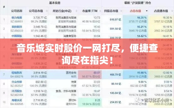 音乐城实时股价一网打尽，便捷查询尽在指尖！