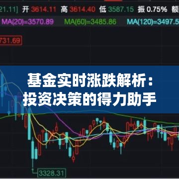 基金实时涨跌解析：投资决策的得力助手