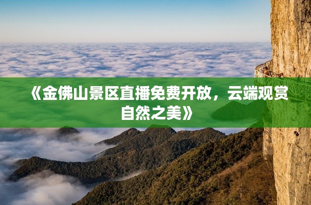 《金佛山景区直播免费开放，云端观赏自然之美》