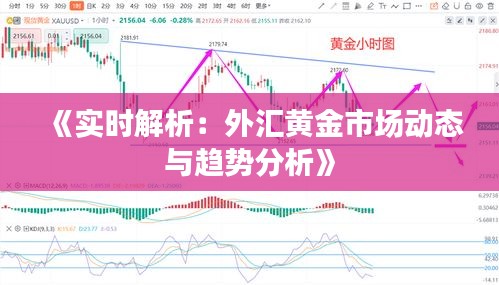 《实时解析：外汇黄金市场动态与趋势分析》