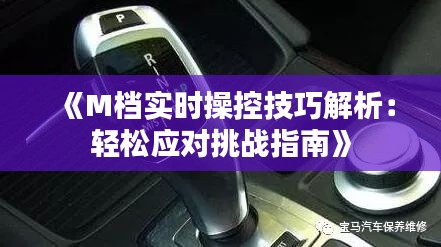 《M档实时操控技巧解析：轻松应对挑战指南》