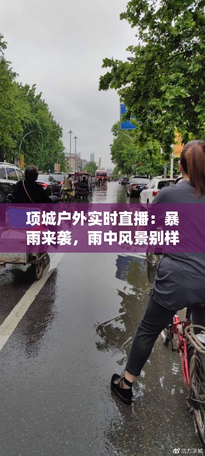 项城户外实时直播：暴雨来袭，雨中风景别样美