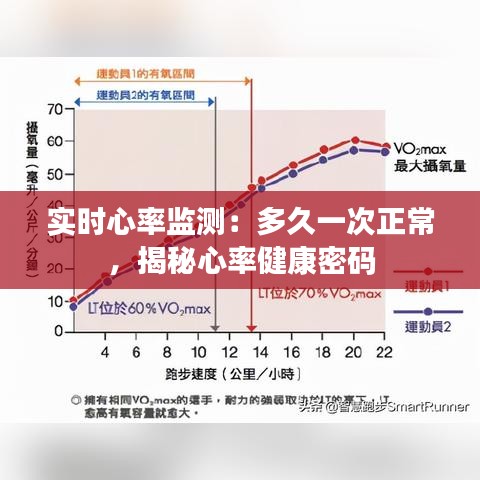 实时心率监测：多久一次正常，揭秘心率健康密码