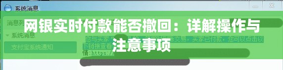 网银实时付款能否撤回：详解操作与注意事项