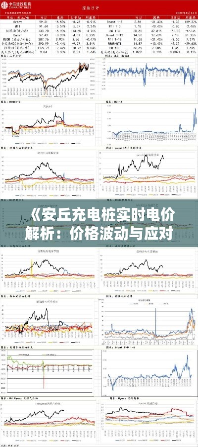 《安丘充电桩实时电价解析：价格波动与应对策略》