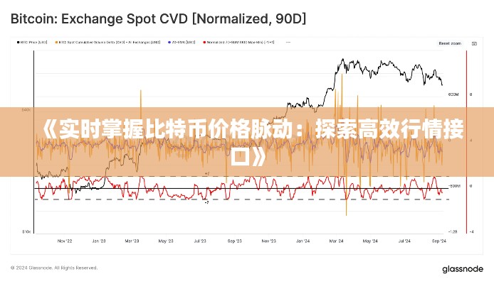 《实时掌握比特币价格脉动：探索高效行情接口》