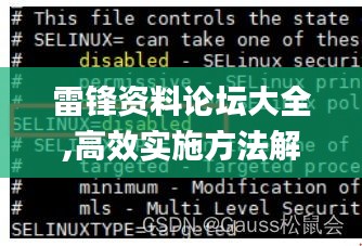 雷锋资料论坛大全,高效实施方法解析_RemixOS10.947