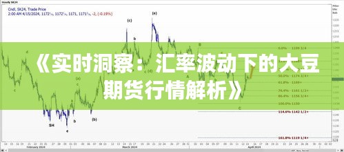 《实时洞察：汇率波动下的大豆期货行情解析》