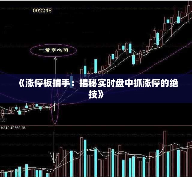 《涨停板捕手：揭秘实时盘中抓涨停的绝技》