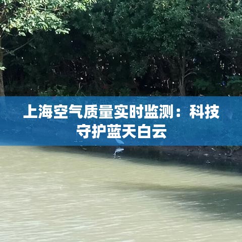 上海空气质量实时监测：科技守护蓝天白云