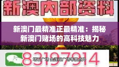 新澳门最精准正最精准：揭秘新澳门赌场的高科技魅力