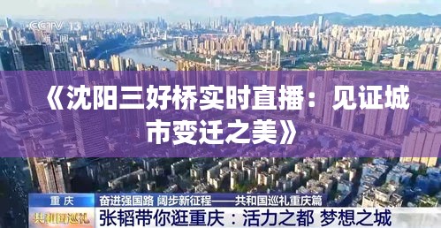 《沈阳三好桥实时直播：见证城市变迁之美》