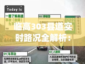 临高303县道实时路况全解析：畅行无忧指南