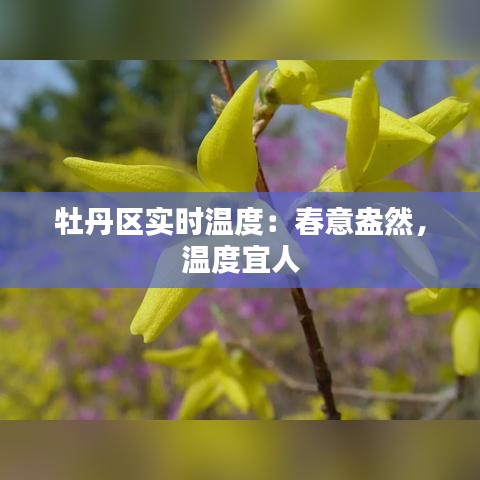 牡丹区实时温度：春意盎然，温度宜人