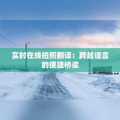 实时在线拍照翻译：跨越语言的便捷桥梁