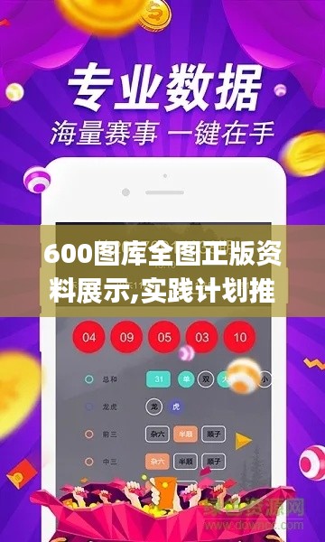 600图库全图正版资料展示,实践计划推进_9DM6.403