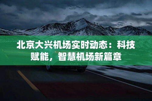 北京大兴机场实时动态：科技赋能，智慧机场新篇章