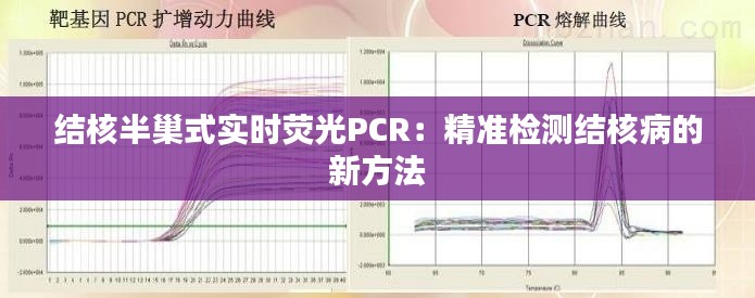 结核半巢式实时荧光PCR：精准检测结核病的新方法