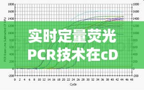 实时定量荧光PCR技术在cDNA定量分析中的应用与优化