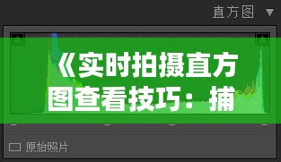 《实时拍摄直方图查看技巧：捕捉光影之美》