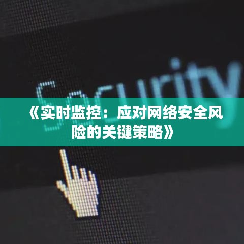 《实时监控：应对网络安全风险的关键策略》