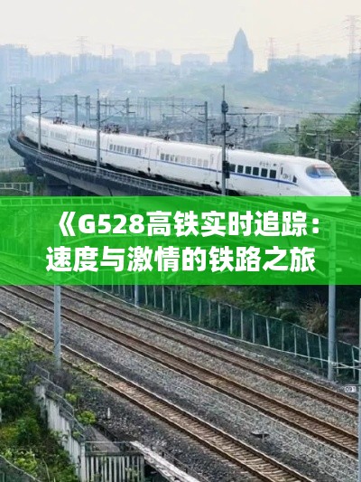 《G528高铁实时追踪：速度与激情的铁路之旅》