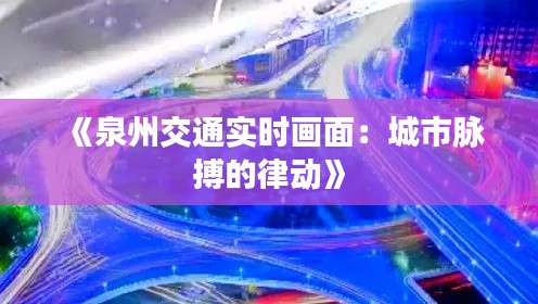 《泉州交通实时画面：城市脉搏的律动》