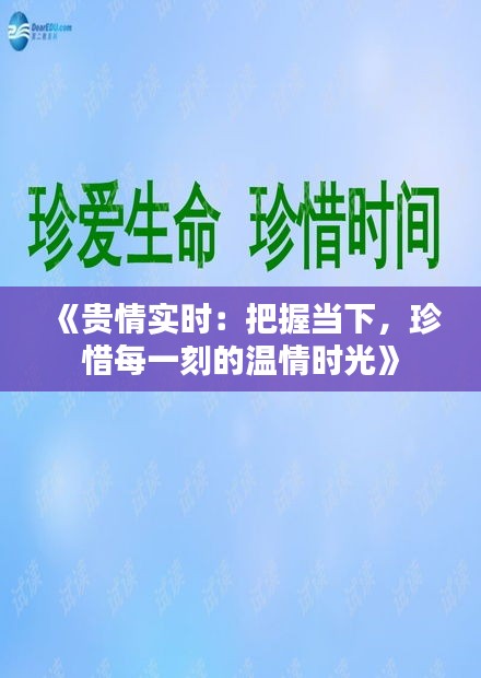 《贵情实时：把握当下，珍惜每一刻的温情时光》