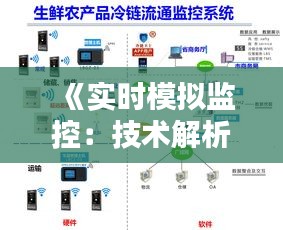 《实时模拟监控：技术解析与实现策略》