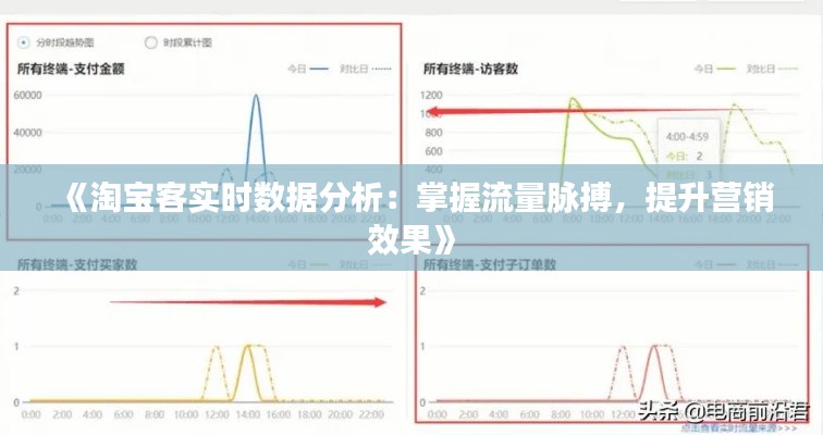 《淘宝客实时数据分析：掌握流量脉搏，提升营销效果》