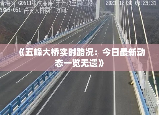 《五峰大桥实时路况：今日最新动态一览无遗》