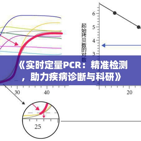 《实时定量PCR：精准检测，助力疾病诊断与科研》