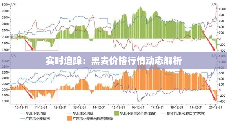 实时追踪：黑麦价格行情动态解析