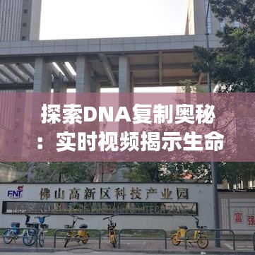 探索DNA复制奥秘：实时视频揭示生命密码