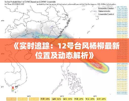 《实时追踪：12号台风杨柳最新位置及动态解析》