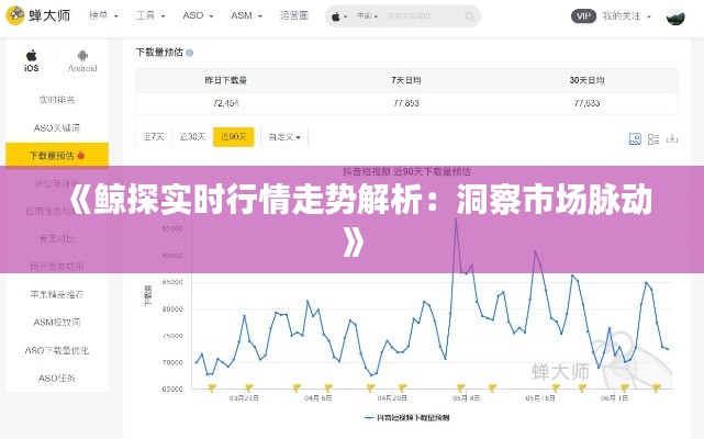 《鲸探实时行情走势解析：洞察市场脉动》